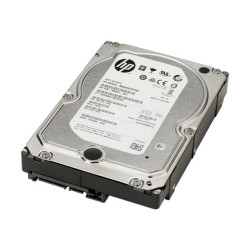 HP - HDD - 4 TB - interno - 3.5" - SATA 6Gb/s - 7200 rpm - buffer: 128 MB - per Workstation Z2 G4, Z2 G5, Z2 G8, Z2 G9, Z4 G4, 