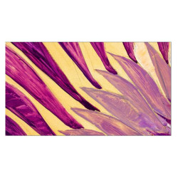 LG Hotel TV 55” 4K