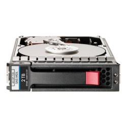 HPE Enterprise - HDD - 2.4 TB - hot swap - 2.5" SFF - SAS 12Gb/s - 10000 rpm - per Modular Smart Array 1040 Dual Controller SFF