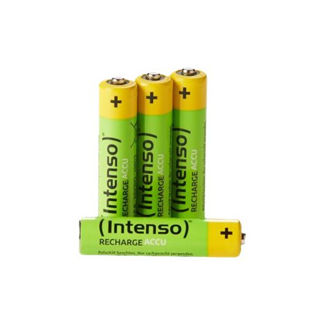 Intenso Energy Eco - Batteria 4 x AAA - NiMH - (ricaricabili) - 1000 mAh