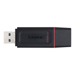 Kingston DataTraveler Exodia - Chiavetta USB - 256 GB - USB 3.2 Gen 1 - nero/rosa