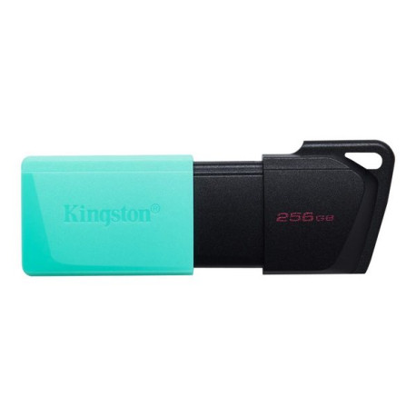 Kingston DataTraveler Exodia M - Chiavetta USB - 256 GB - USB 3.2 Gen 1