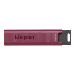 Kingston DataTraveler Max - Chiavetta USB - 256 GB - USB 3.2 Gen 2