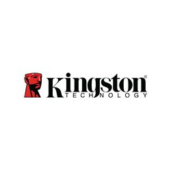 Kingston DataTraveler SE9 G3 - Chiavetta USB - 128 GB - USB 3.2 Gen 1 - oro