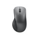 Lenovo Professional - Mouse - ergonomico - ottico blu - 6 pulsanti - senza fili - Bluetooth 5.1 - grigio temporale