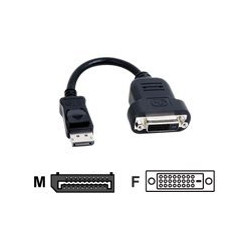 Matrox TripleHead2go upgrade - Adattatore dello schermo - DisplayPort (M) a DVI-D (F) - 20 cm - per Matrox M9128 LP, M9138, M91