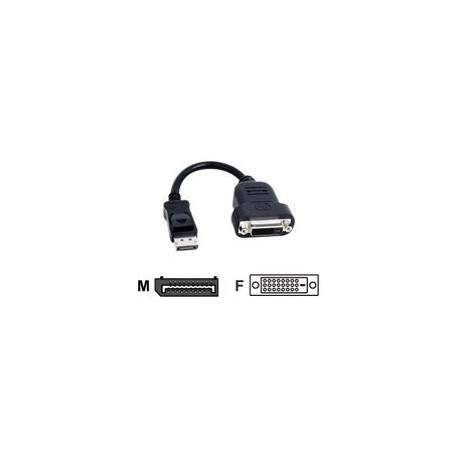 Matrox TripleHead2go upgrade - Adattatore dello schermo - DisplayPort (M) a DVI-D (F) - 20 cm - per Matrox M9128 LP, M9138, M91