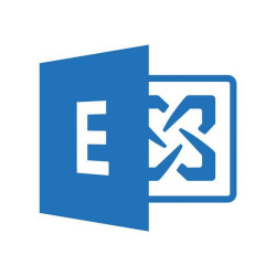 Microsoft Exchange Server 2019 Enterprise CAL - Licenza - 1 licenza CAL utente - charity - Charity - Win - Single Language