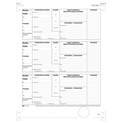 Modulo continuo carico/scarico rifiuti detentori (Mod. A) - 12''x 24 - 250 fogli - Edipro