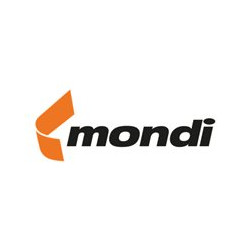 Mondi Color Copy - Lucido - rivestito - A3 (297 x 420 mm) - 200 g/m² - 250 fogli carta comune