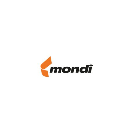 Mondi Color Copy - Lucido - rivestito - A3 (297 x 420 mm) - 200 g/m² - 250 fogli carta comune