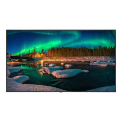 NEC MultiSync C981Q - 98" Categoria diagonale Display LCD retroilluminato a LED - segnaletica digitale - 4K UHD (2160p) 3840 x 