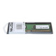 Nilox - DDR2 - modulo - 1 GB - DIMM a 240 pin - 533 MHz / PC2-4200 - CL5 - 1.8 V - senza buffer - non ECC