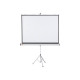 NOBO - Schermo proiettore con treppiedi - 71" (180.5 cm) - 4:3 - Matte White