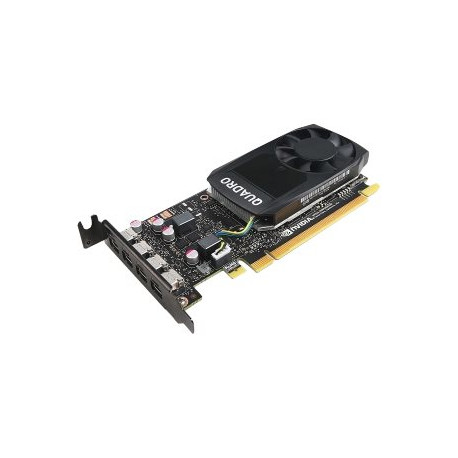 NVIDIA Quadro P1000 - Scheda grafica - Quadro P1000 - 4 GB GDDR5 profilo basso - 4 x Mini DisplayPort - per ThinkStation P320 3