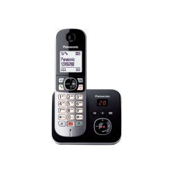 Panasonic KX-TG6861 - Telefono cordless - sistema di segreteria con ID chiamante/chiamata in attesa - DECTGAP - 3-way capacità 