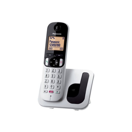 Panasonic KX-TGC250 - Telefono cordless con ID chiamante/chiamata in attesa - DECTGAP - argento