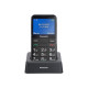 Panasonic KX-TU155 - Telefono con funzionalità - dual SIM - microSD slot - display LCD - 240 x 320 pixel - rear camera 0.3 MP -