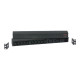 APC Basic Rack-Mount PDU - Unità distribuzione alimentazione (montabile in rack) - 208/230 V c.a. V - ingresso: IEC 60320 C20 -