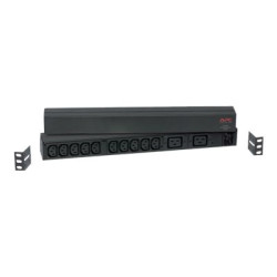 APC Basic Rack-Mount PDU - Unità distribuzione alimentazione (montabile in rack) - 208/230 V c.a. V - ingresso: IEC 60320 C20 -