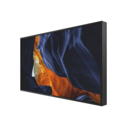 Philips 55BDL6002H - 55" Categoria diagonale (54.6" visualizzabile) - H-Line Display LCD retroilluminato a LED - segnaletica di