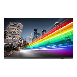 Philips 55BFL2214 - 55" Categoria diagonale B-Line Professional Series TV LCD retroilluminato a LED - segnaletica digitale - Sm