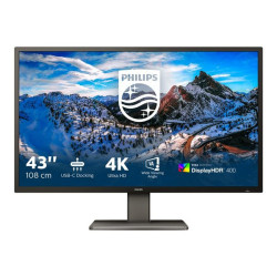 Philips P-line 439P1 - Monitor a LED - 43" (42.51" visualizzabile) - 3840 x 2160 4K @ 60 Hz - VA - 400 cd/m² - 4000:1 - Display