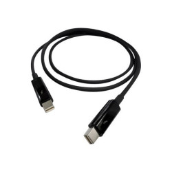 QNAP - Cavo Thunderbolt - Mini DisplayPort (M) a Mini DisplayPort (M) - Thunderbolt 2 - 2 m