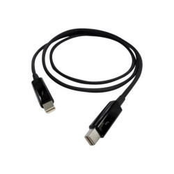 QNAP CAB-TBT10M - Cavo Thunderbolt - Mini DisplayPort (M) a Mini DisplayPort (M) - Thunderbolt 2 - 1 m