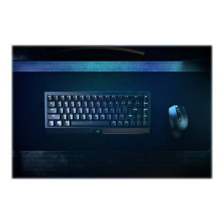 Razer BlackWidow V3 Mini HyperSpeed - Tastiera - retroilluminazione - Bluetooth, 2.4 GHz, USB-C - QWERTY - Regno Unito - interr