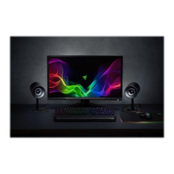 Razer Nommo - Altoparlanti - per PC - canale 2.0