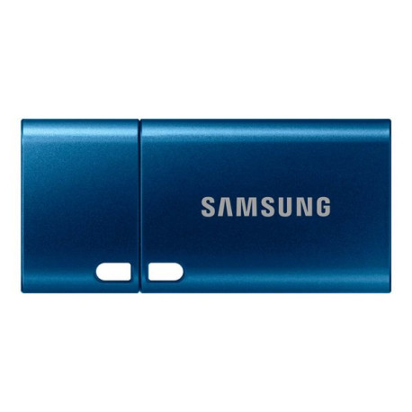 Samsung MUF-256DA - Chiavetta USB - 256 GB - USB-C 3.2 Gen 1 - blu