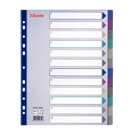 Separatore - 12 tasti - PP traslucido - A4 maxi - 24,5x29,7 cm - multicolore - Esselte