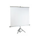 SOPAR Superior - Schermo proiettore con treppiedi - 101" (257 cm) - 1:1 - bianco