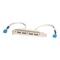 StarTech.com Adattatore piastra slot USB A femmina 4 porte - Pannello USB - USB (F) a IDC a 9 pin (F)