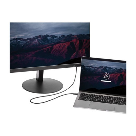 StarTech.com USB-C to DVI Cable - 6 ft / 2m - 1080p - 1920x1200 - USB-C DVI Monitor Cable - USB C Cable - Computer Monitor Cabl