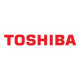 Toshiba International Warranty Extension - Contratto di assistenza esteso - parti e manodopera - 3 anni - carry in - per Dynabo