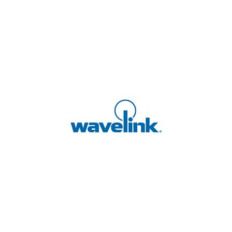 Wavelink Customer Care - Aggiornamento nuove versioni - per Ivanti Velocity TE Client - 1 anno