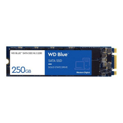 WD Blue 3D NAND SATA SSD WDS250G2B0B - SSD - 250 GB - interno - M.2 2280 - SATA 6Gb/s