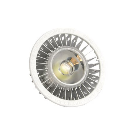 Hamlet - LED spot light bulb - forma: MR16 - GU5.3 - 5 W - luce bianca fredda - 6000 K