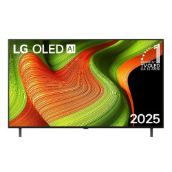 LG 55 OLED B5 4K UHD PIEDINI LATERALI WEBOS25