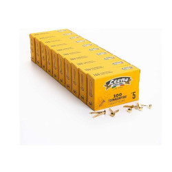 Leone Dell'Era Fermacampioni ottonati N5 Confezione da 10 scatole x100 fermacampioni ciascuna