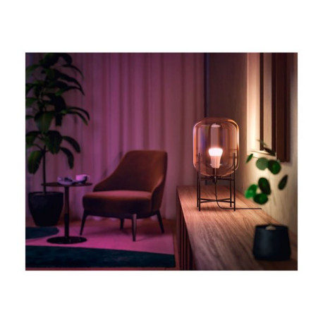 Philips Hue - Lampadina LED - forma: A60 - E27 - 6.5 W (equivalente 60 W) - classe F - 16 milioni di colori - 2000-6500 K - bia