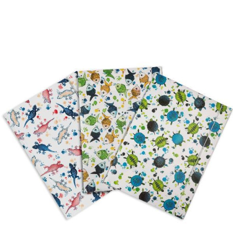 Plastibor ICON SEA con elastico