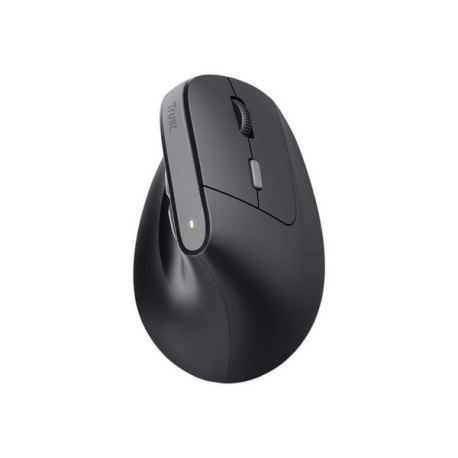 Trust TM-270 - Mouse - ergonomico - per destrorsi - ottica - 6 pulsanti - senza fili - 2.4 GHz - ricevitore wireless USB - nero