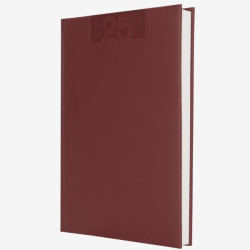 AGENDE e DIARI - AGENDA GIORNALIERA 15X21 DELTA ROSSO