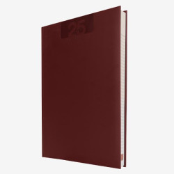 AGENDE e DIARI - AGENDA GIORNALIERA 21X30 DELTA ROSSO