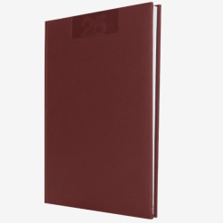 AGENDE e DIARI - AGENDA SETTIMANALE 17X24 DELTA ROSSO