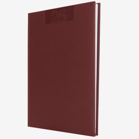 AGENDE e DIARI - AGENDA SETTIMANALE 17X24 DELTA ROSSO