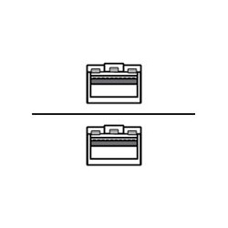 Extreme Networks - Cavo ad attacco diretto 25GBase-CU - SFP28 (M) a SFP28 (M) - 1 m - passivo - per P/N: X695-48Y-8C-DC-R